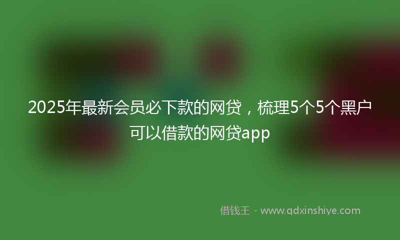 2025年最新会员必下款的网贷，梳理5个5个黑户可以借款的网贷app