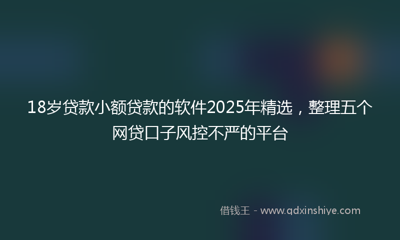 18岁贷款小额贷款的软件2025年精选，整理五个网贷口子风控不严的平台