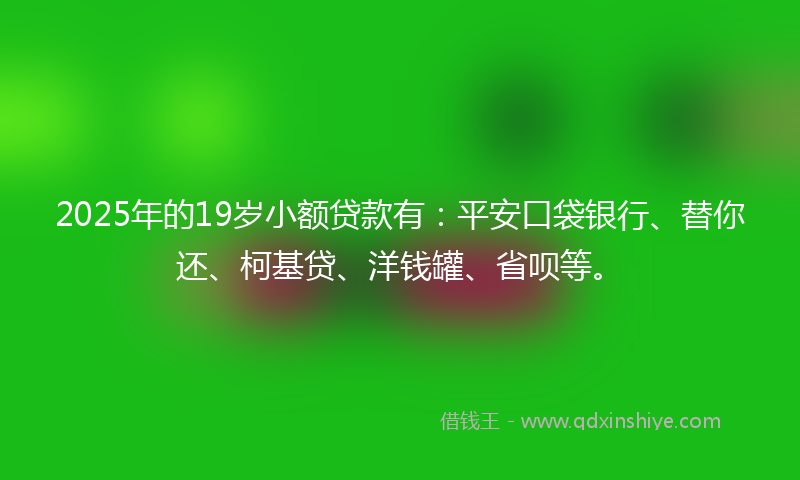 2025年的19岁小额贷款有：平安口袋银行、替你还、柯基贷、洋钱罐、省呗等。