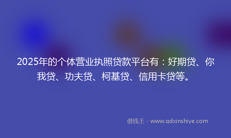 2025年的个体营业执照贷款平台有：好期贷、你我贷、功夫贷、柯基贷、信用卡贷等。