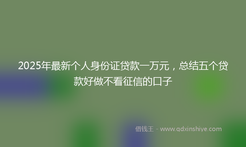2025年最新个人身份证贷款一万元，总结五个贷款好做不看征信的口子