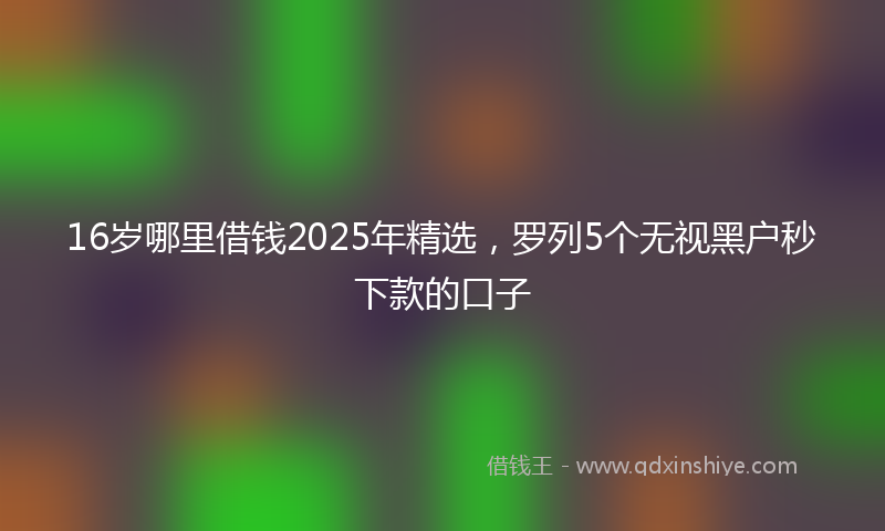 16岁哪里借钱2025年精选，罗列5个无视黑户秒下款的口子