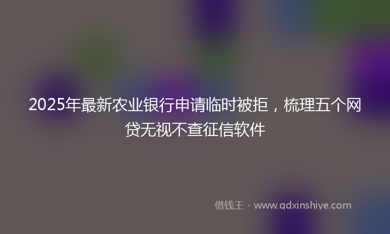 2025年最新农业银行申请临时被拒，梳理五个网贷无视不查征信软件