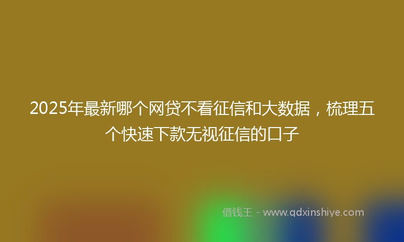 2025年最新哪个网贷不看征信和大数据，梳理五个快速下款无视征信的口子