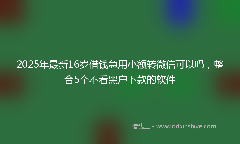 2025年最新16岁借钱急用小额转微信可以吗，整合5个不看黑户下款的软件
