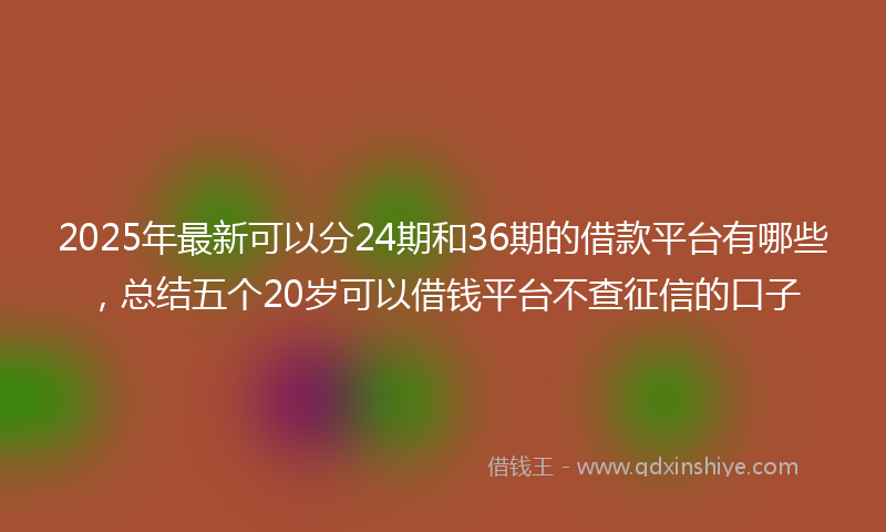 2025年最新可以分24期和36期的借款平台有哪些，总结五个20岁可以借钱平台不查征信的口子