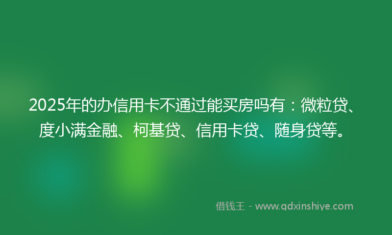 2025年的办信用卡不通过能买房吗有：微粒贷、度小满金融、柯基贷、信用卡贷、随身贷等。