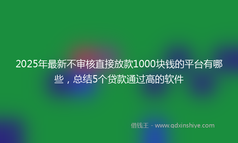 2025年最新不审核直接放款1000块钱的平台有哪些，总结5个贷款通过高的软件