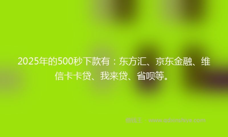 2025年的500秒下款有：东方汇、京东金融、维信卡卡贷、我来贷、省呗等。