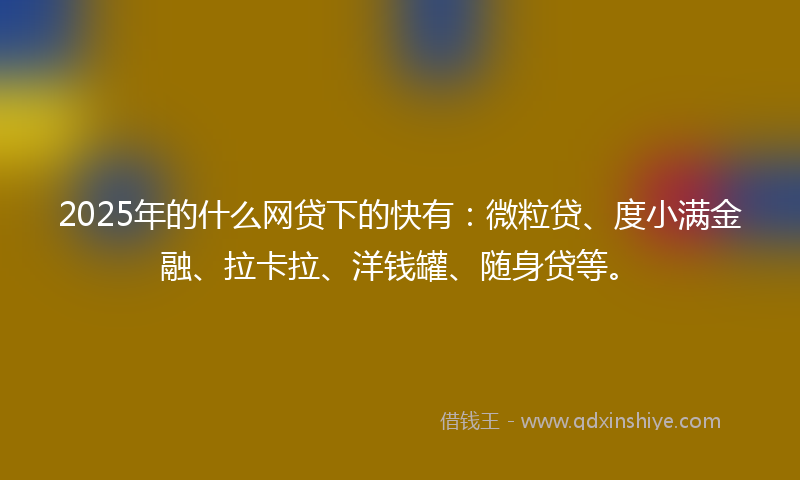 2025年的什么网贷下的快有：微粒贷、度小满金融、拉卡拉、洋钱罐、随身贷等。
