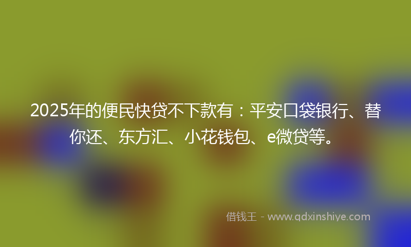 2025年的便民快贷不下款有：平安口袋银行、替你还、东方汇、小花钱包、e微贷等。