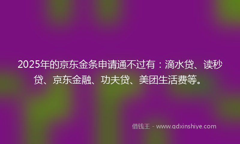 2025年的京东金条申请通不过有：滴水贷、读秒贷、京东金融、功夫贷、美团生活费等。