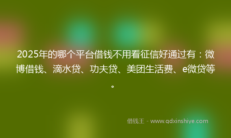 2025年的哪个平台借钱不用看征信好通过有：微博借钱、滴水贷、功夫贷、美团生活费、e微贷等。