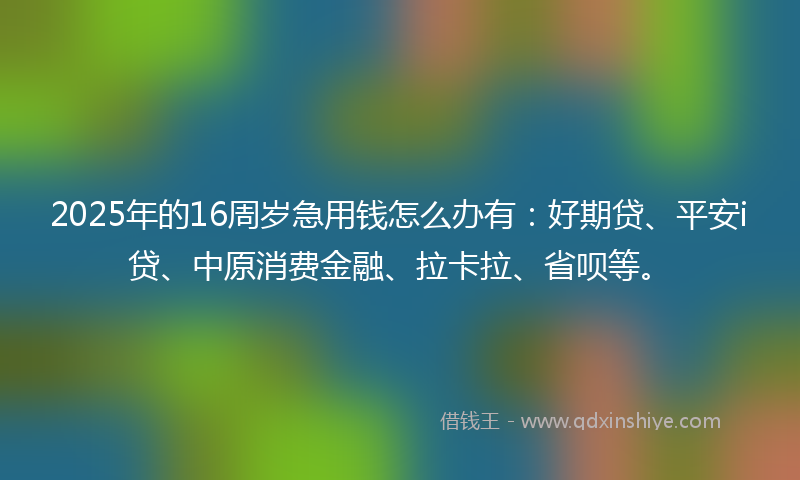 2025年的16周岁急用钱怎么办有：好期贷、平安i贷、中原消费金融、拉卡拉、省呗等。