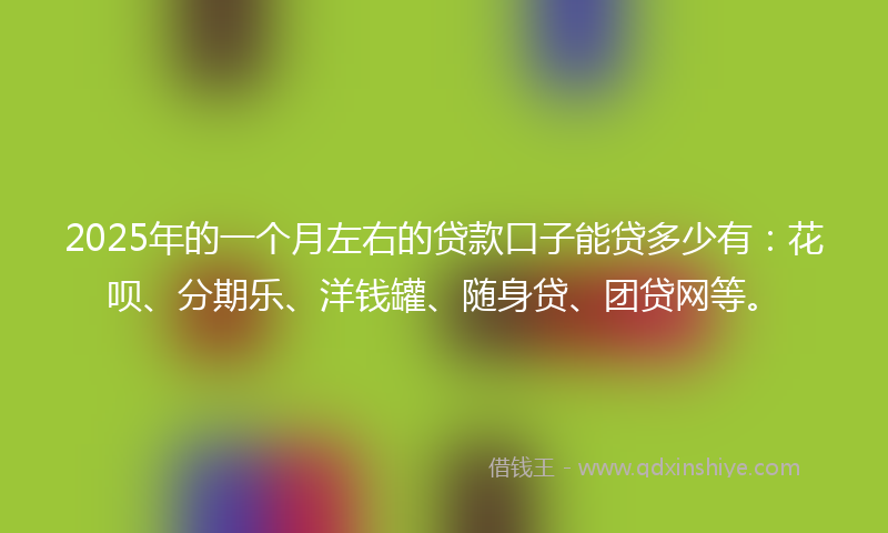 2025年的一个月左右的贷款口子能贷多少有：花呗、分期乐、洋钱罐、随身贷、团贷网等。