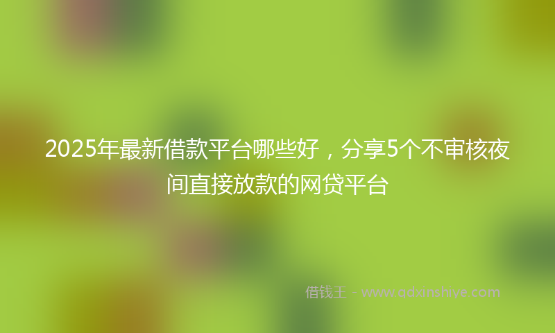 2025年最新借款平台哪些好，分享5个不审核夜间直接放款的网贷平台