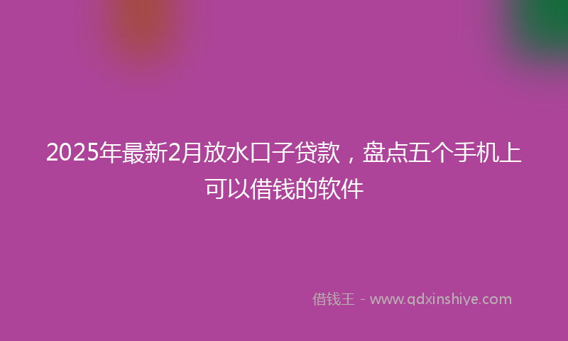 2025年最新2月放水口子贷款，盘点五个手机上可以借钱的软件