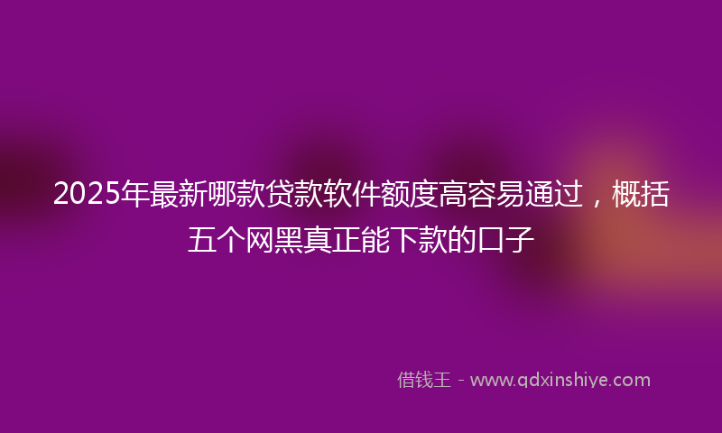 2025年最新哪款贷款软件额度高容易通过，概括五个网黑真正能下款的口子