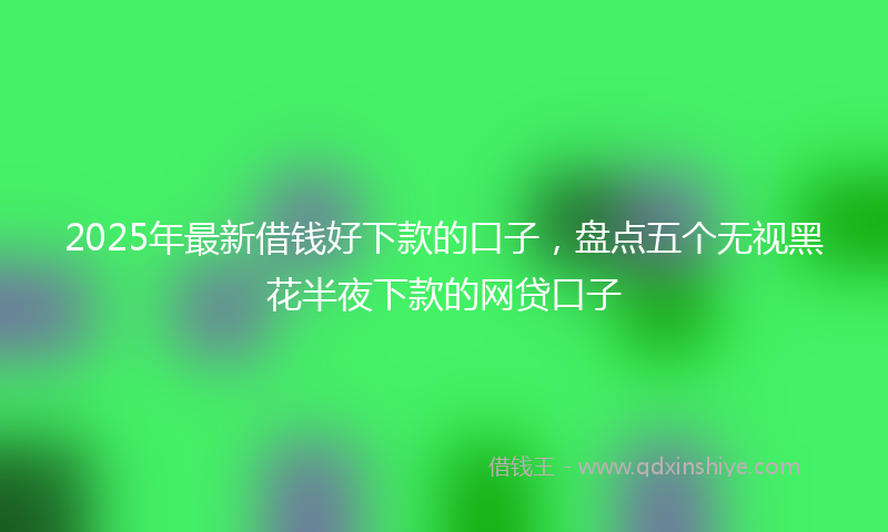 2025年最新借钱好下款的口子，盘点五个无视黑花半夜下款的网贷口子