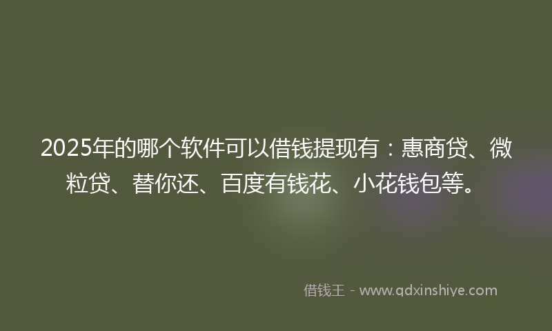 2025年的哪个软件可以借钱提现有：惠商贷、微粒贷、替你还、百度有钱花、小花钱包等。