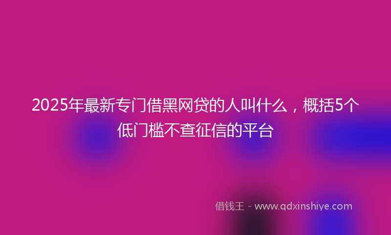 2025年最新专门借黑网贷的人叫什么，概括5个低门槛不查征信的平台