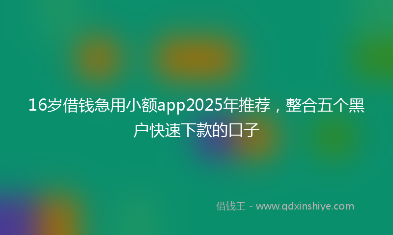 16岁借钱急用小额app2025年推荐，整合五个黑户快速下款的口子