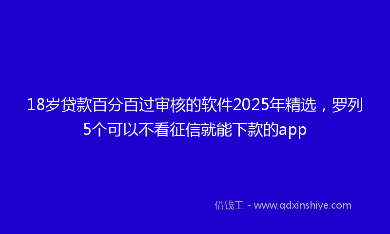 18岁贷款百分百过审核的软件2025年精选，罗列5个可以不看征信就能下款的app