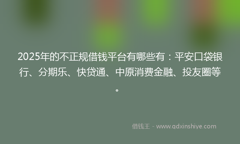 2025年的不正规借钱平台有哪些有：平安口袋银行、分期乐、快贷通、中原消费金融、投友圈等。