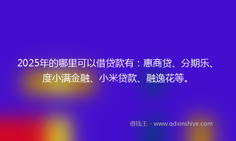 2025年的哪里可以借贷款有：惠商贷、分期乐、度小满金融、小米贷款、融逸花等。