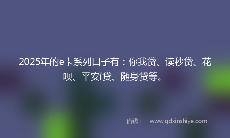 2025年的e卡系列口子有：你我贷、读秒贷、花呗、平安i贷、随身贷等。