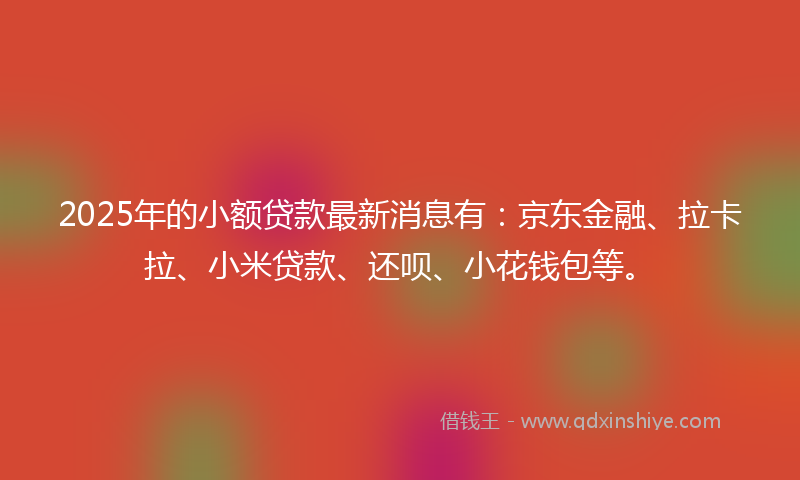 2025年的小额贷款最新消息有：京东金融、拉卡拉、小米贷款、还呗、小花钱包等。
