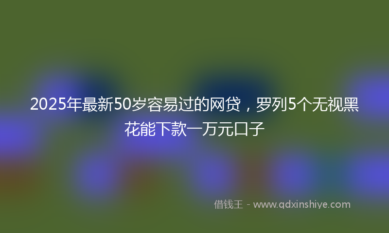 2025年最新50岁容易过的网贷，罗列5个无视黑花能下款一万元口子