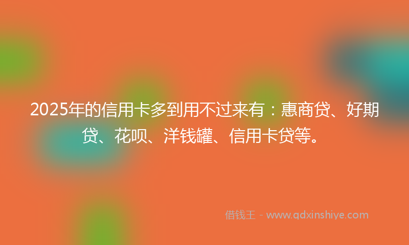 2025年的信用卡多到用不过来有：惠商贷、好期贷、花呗、洋钱罐、信用卡贷等。