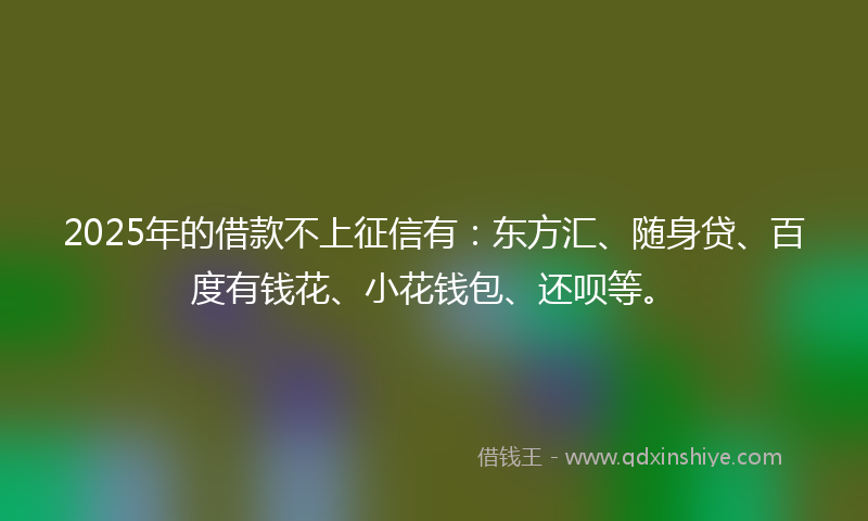 2025年的借款不上征信有：东方汇、随身贷、百度有钱花、小花钱包、还呗等。