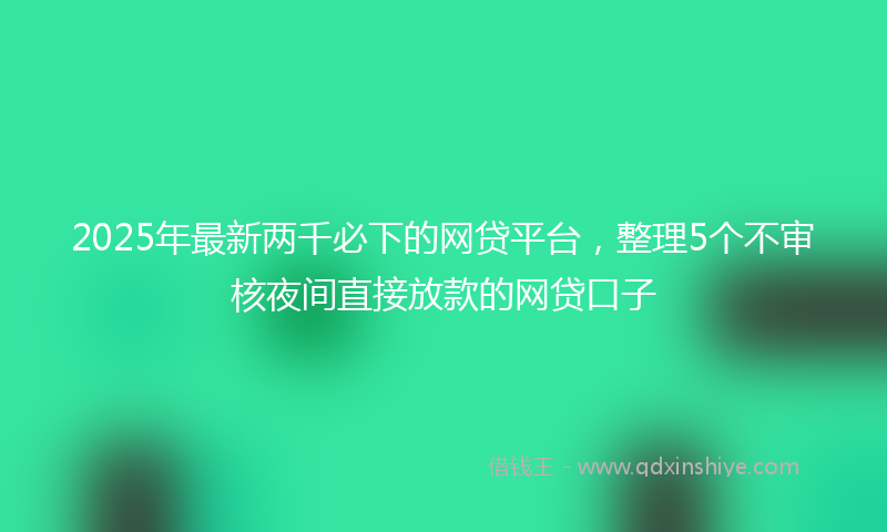2025年最新两千必下的网贷平台，整理5个不审核夜间直接放款的网贷口子