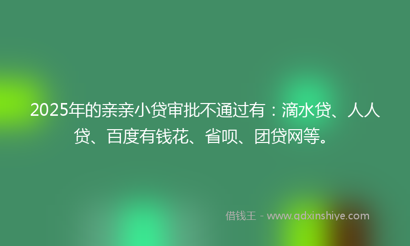 2025年的亲亲小贷审批不通过有：滴水贷、人人贷、百度有钱花、省呗、团贷网等。