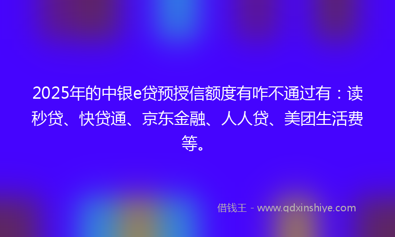 2025年的中银e贷预授信额度有咋不通过有：读秒贷、快贷通、京东金融、人人贷、美团生活费等。