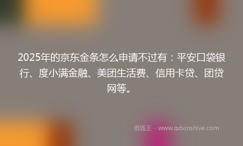 2025年的京东金条怎么申请不过有：平安口袋银行、度小满金融、美团生活费、信用卡贷、团贷网等。