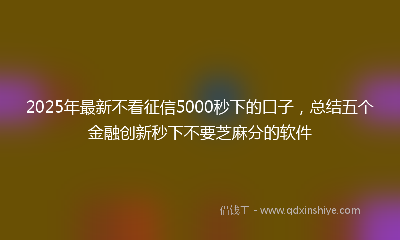 2025年最新不看征信5000秒下的口子，总结五个金融创新秒下不要芝麻分的软件