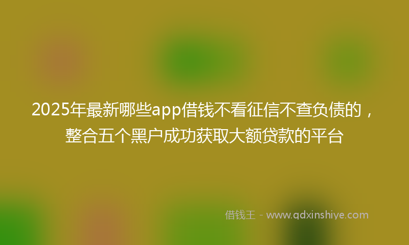 2025年最新哪些app借钱不看征信不查负债的，整合五个黑户成功获取大额贷款的平台