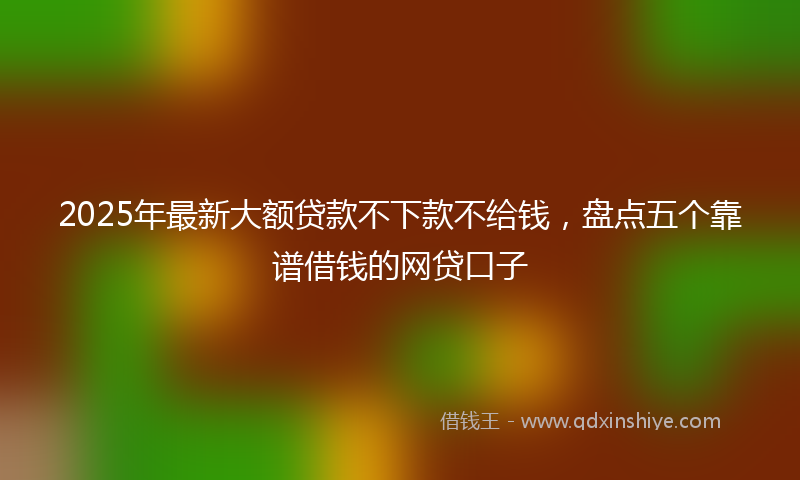 2025年最新大额贷款不下款不给钱，盘点五个靠谱借钱的网贷口子