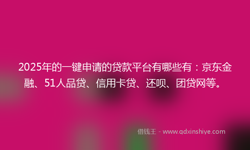 2025年的一键申请的贷款平台有哪些有：京东金融、51人品贷、信用卡贷、还呗、团贷网等。