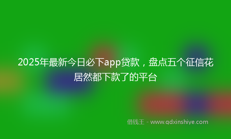 2025年最新今日必下app贷款，盘点五个征信花居然都下款了的平台