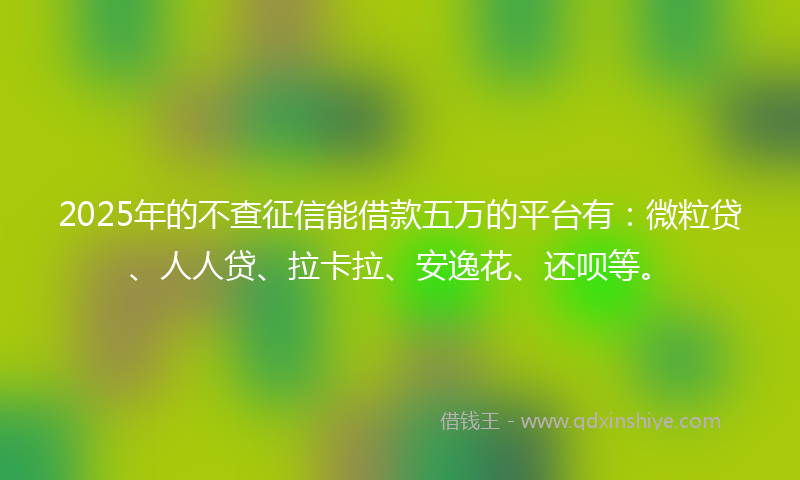 2025年的不查征信能借款五万的平台有：微粒贷、人人贷、拉卡拉、安逸花、还呗等。