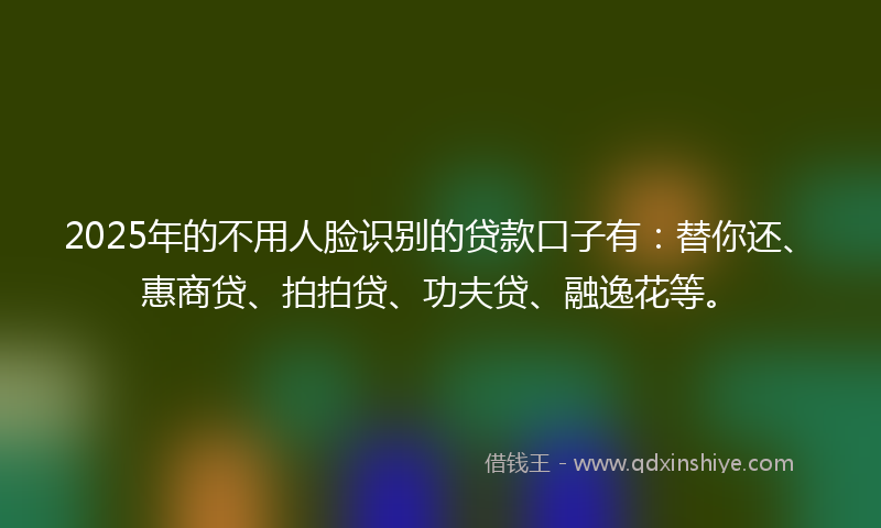 2025年的不用人脸识别的贷款口子有：替你还、惠商贷、拍拍贷、功夫贷、融逸花等。