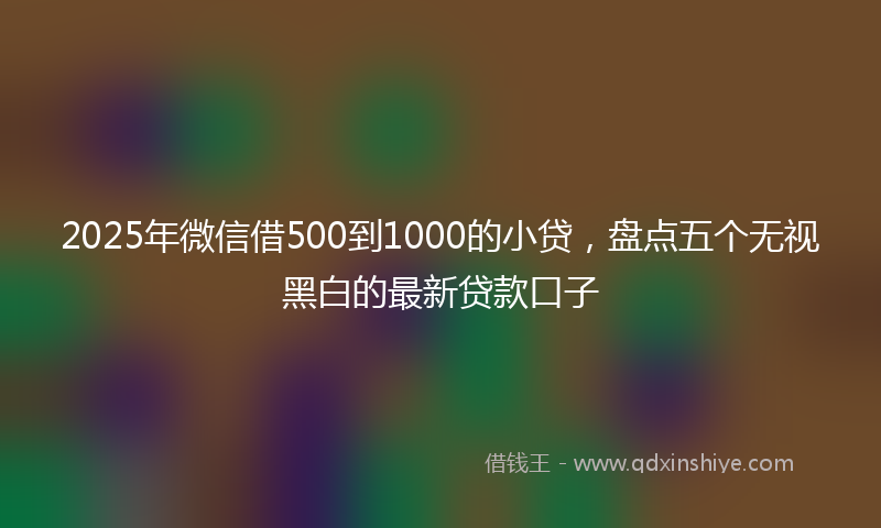 2025年微信借500到1000的小贷，盘点五个无视黑白的最新贷款口子