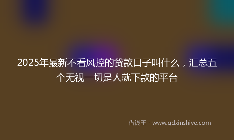 2025年最新不看风控的贷款口子叫什么，汇总五个无视一切是人就下款的平台
