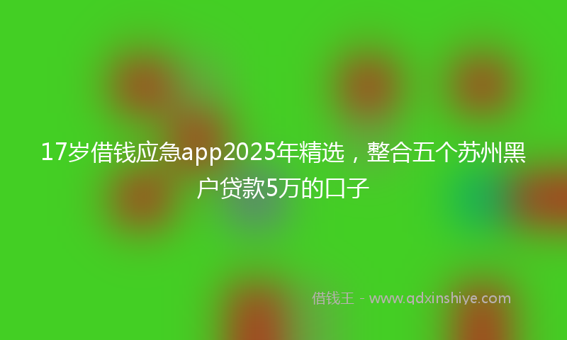 17岁借钱应急app2025年精选，整合五个苏州黑户贷款5万的口子