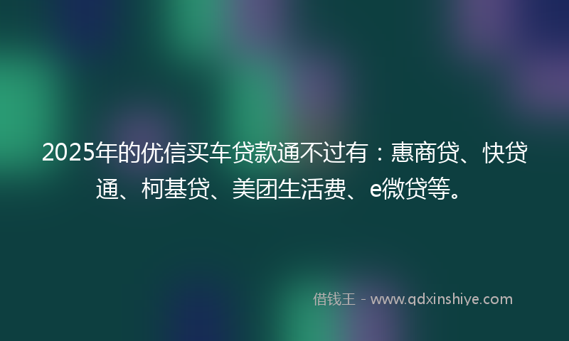 2025年的优信买车贷款通不过有：惠商贷、快贷通、柯基贷、美团生活费、e微贷等。