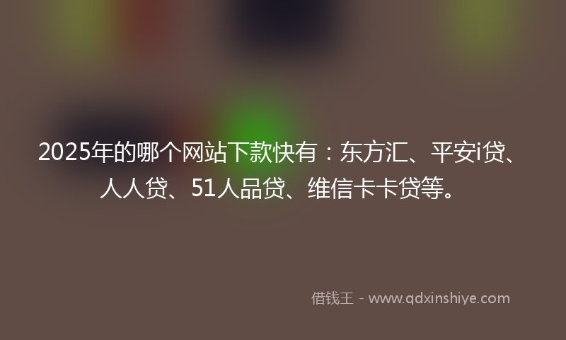 2025年的哪个网站下款快有：东方汇、平安i贷、人人贷、51人品贷、维信卡卡贷等。
